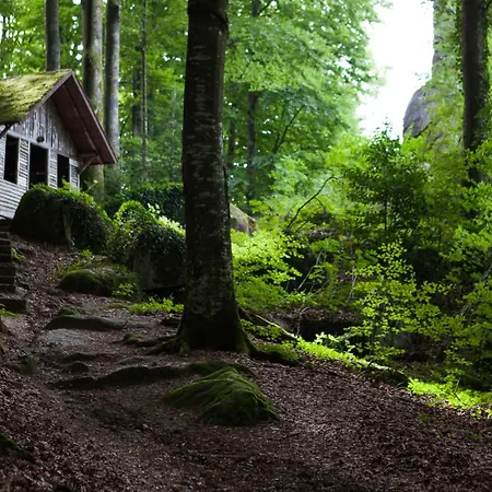 21 Gramm Verborgene Mit Tiefgarage Apartmán *